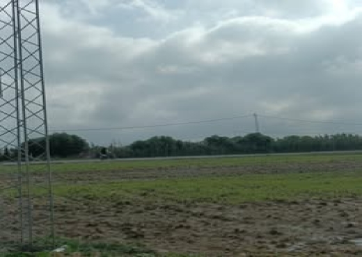 terrain de 1600m² a el haouaria