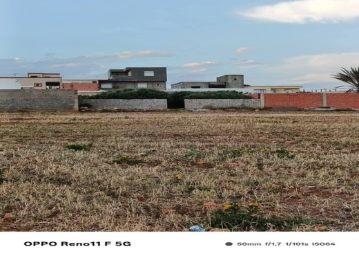 a vendre 1600m² au centre ville elhaouaria - image 2