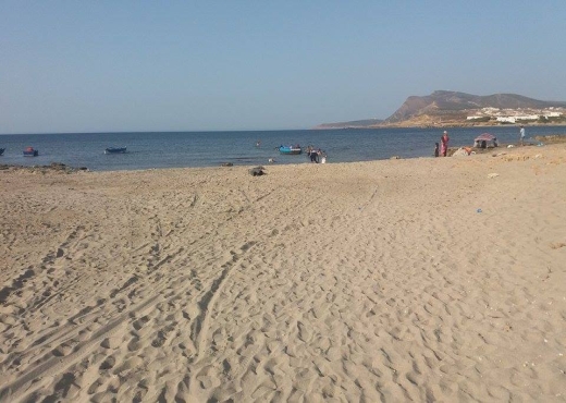 des lots a la plage elhauaria - image 2