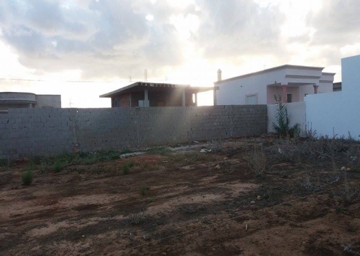 A Vendre Lots Terrains a El Haoueria - image 2