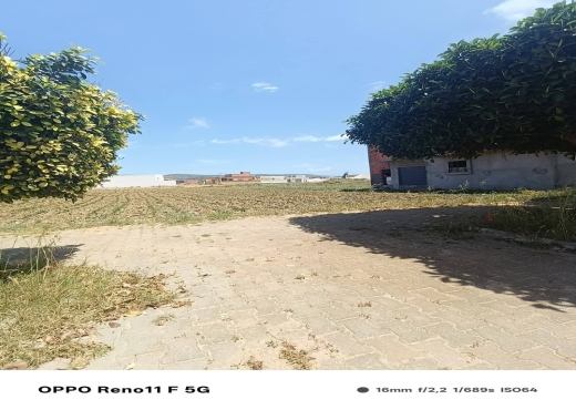 lot de terrain a vendre houaria centre ville - image 2