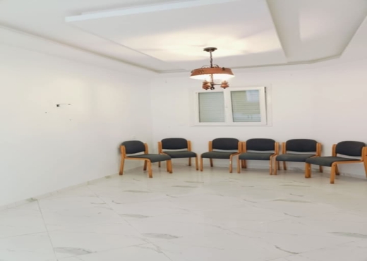 A vendre une maison de style américain s+3 - image 2