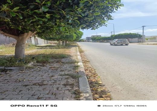 lot de terrain a vendre houaria centre ville