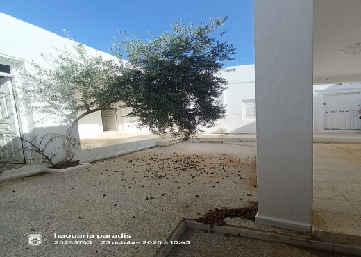 A vendre Deux maisons a elhaouaria centre ville - image 3